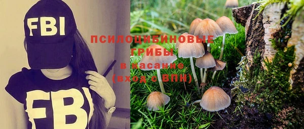 Альфа ПВП Алексин