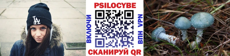 Псилоцибиновые грибы Psilocybine cubensis  хочу наркоту  darknet какой сайт  Сосновка 