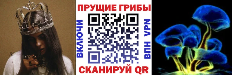 Псилоцибиновые грибы мухоморы Сосновка